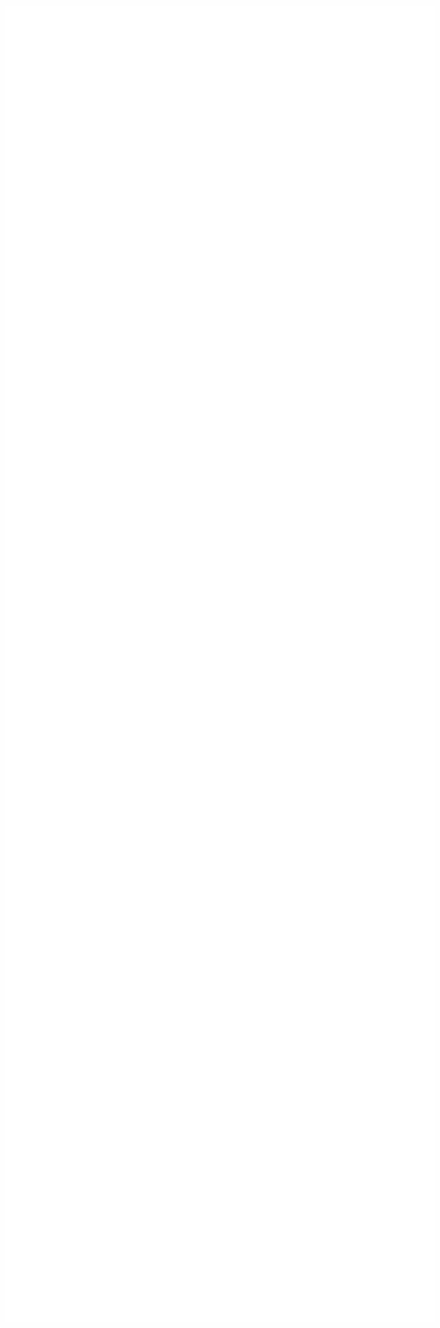 Logo Rodape